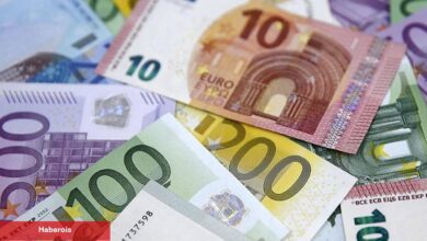 AB'den Mısır'a "gıda güvenliği" için 40 milyon avroluk hibe