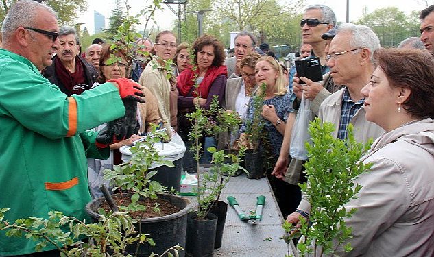 Bahçıvanlık Eğitimleri İçin Müracaatlar Başlıyor - Haberois Bahçıvanlık Eğitimleri İçin Müracaatlar Başlıyor