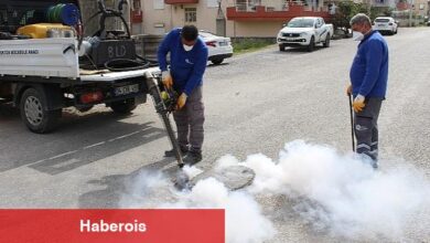 Sineksiz yaz için ağır çaba