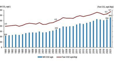 TÜİK: Toplam sera gazı emisyonu 2021 yılında 564,4 Mt CO2 muadili oldu