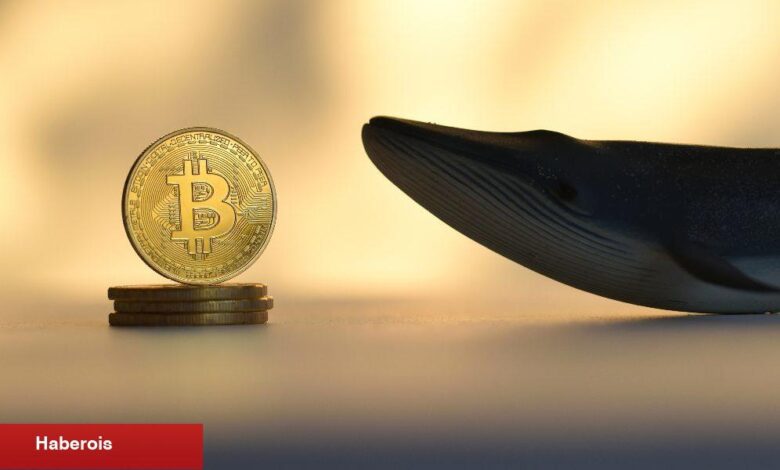 10 Yıl Sonra Uyanan Bitcoin Balinası, Satış mı Yapacak? - Haberois 10 Yıl Sonra Uyanan Bitcoin Balinası, Satış mı Yapacak?