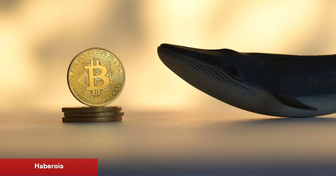 10 Yıl Sonra Uyanan Bitcoin Balinası, Satış mı Yapacak?