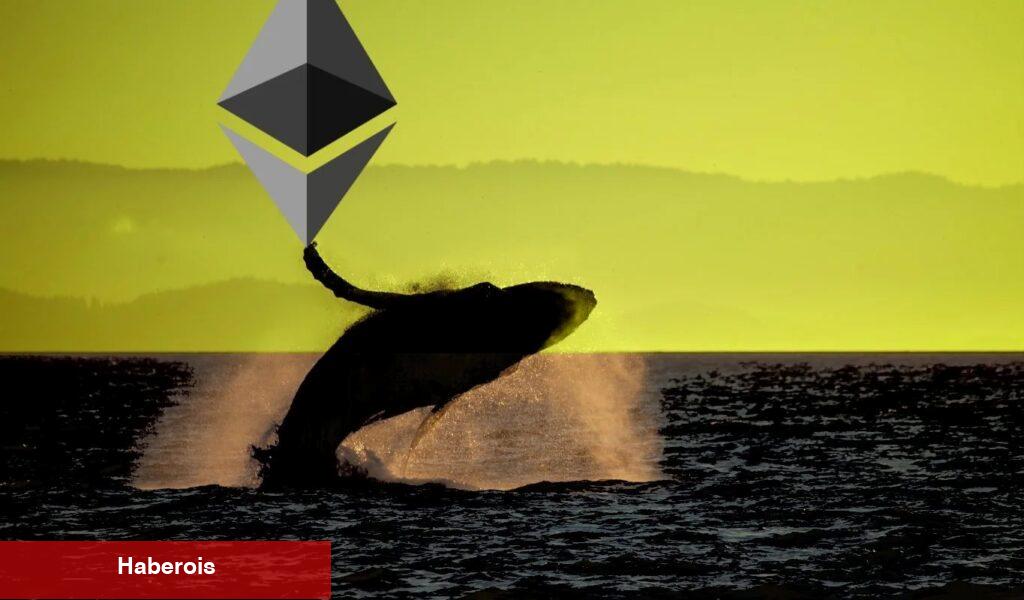 12 Yıldır Uyuyan BTC ve ETH Balinaları Uyandı! Satacaklar mı?