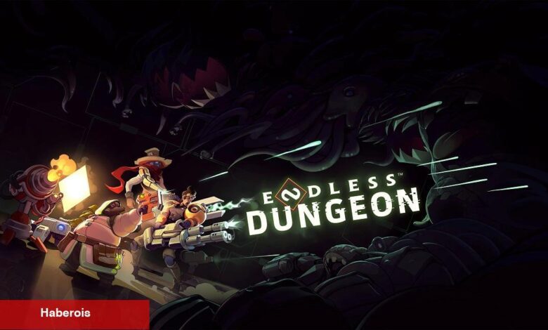 Aksiyon rol yapma oyunu Endless Dungeon ertelendi - Haberois Aksiyon rol yapma oyunu Endless Dungeon ertelendi