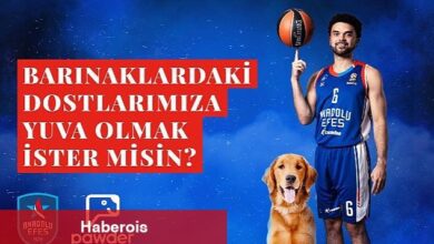 Anadolu Efes, Pawder İş Birliğiyle Depremzede Köpeklerin Ve Barınak Hayvanlarının Sahiplendirilmesine Destek Olacak