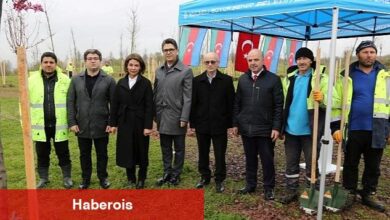 Azerbaycan ve Türkiye Kardeşliği Ormanına Haydar Aliyev'in anısına 100 fidan