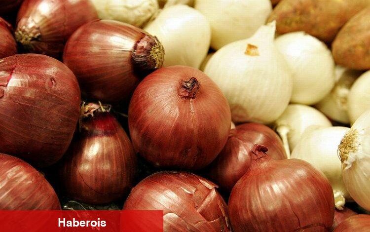 Bakanlıktan 'soğan'a verisel açıklama - Haberois Bakanlıktan 'soğan'a verisel açıklama