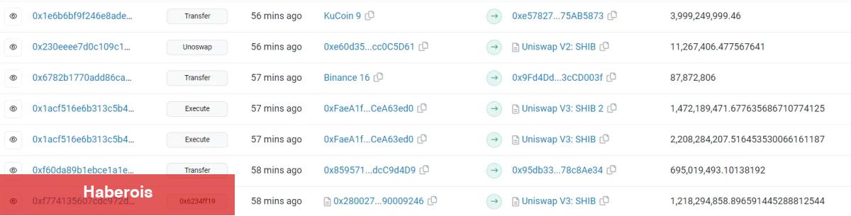 Balinalar, Binance’de Bu Altcoin’den Muazzam Ölçüde Sattı!
