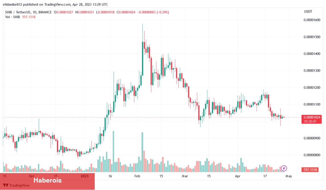 Balinaların Son Günlerde İstiflediği Altcoinler Hangileri?