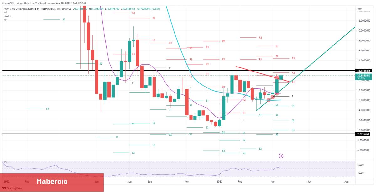 Binance’deki Hangi Altcoinler Ralli Hazırlığında? - Haberois Binance’deki Hangi Altcoinler Ralli Hazırlığında?