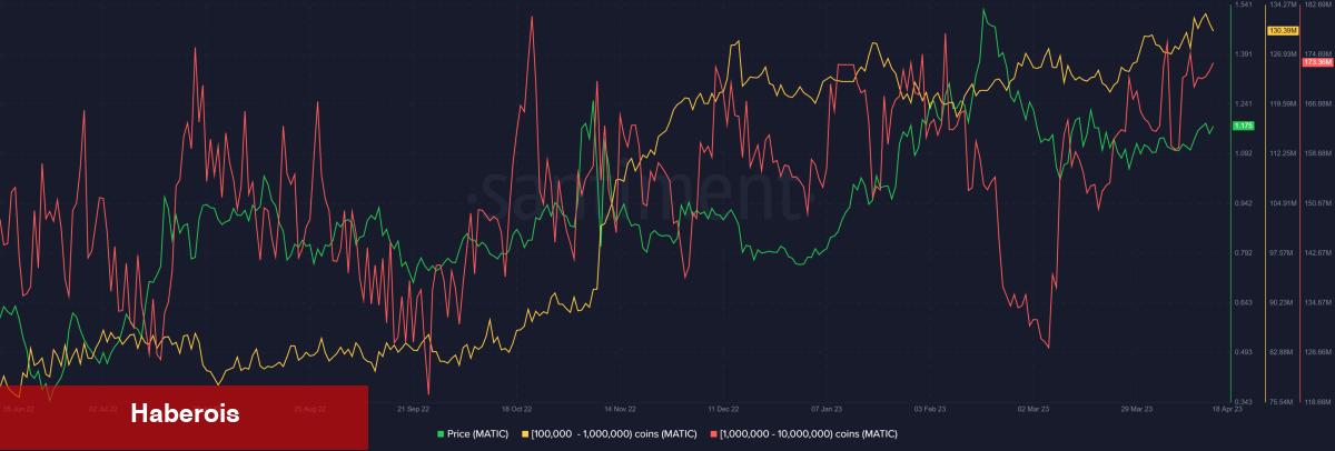 Binance’deki Hangi Altcoinler Ralli Hazırlığında? - Haberois Binance’deki Hangi Altcoinler Ralli Hazırlığında?