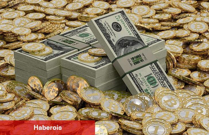 Bir Kripto Kıssası: Bu Altcoin ile Milyoner Emekli Oldu!