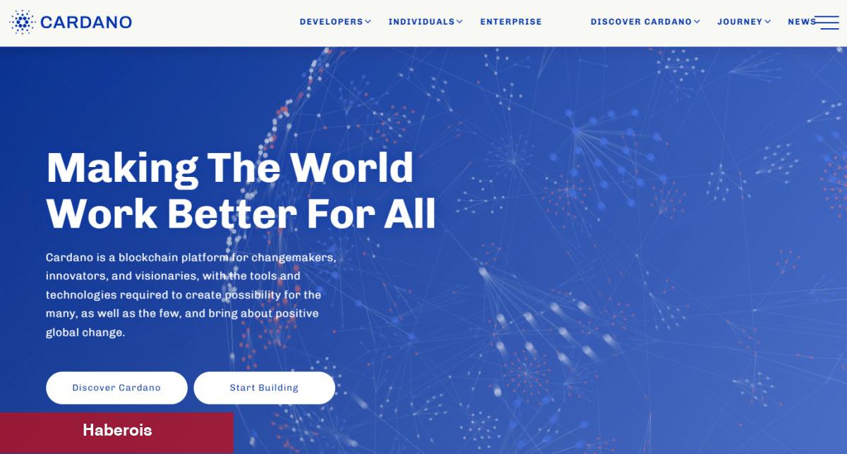 Bir Sonraki Altcoin Mücevherleri Bu 10 Coin Olabilir! - Haberois Bir Sonraki Altcoin Mücevherleri Bu 10 Coin Olabilir!