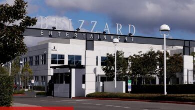 Blizzard'a Dava Açan NetEase Değil Kızgın Bir Çinliymiş