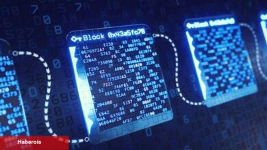 ‘Blockchain ve kripto varlık tarafında bölgemizdeki en büyük tertibi kurduk’