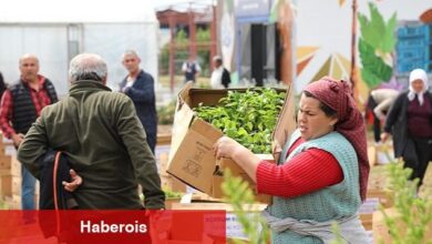 Bodrum Belediyesi, 350 Bin Fideyi Üreticiyle Buluşturdu