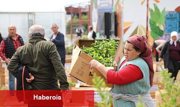 Bodrum Belediyesi, 350 Bin Fideyi Üreticiyle Buluşturdu - Haberois Bodrum Belediyesi, 350 Bin Fideyi Üreticiyle Buluşturdu