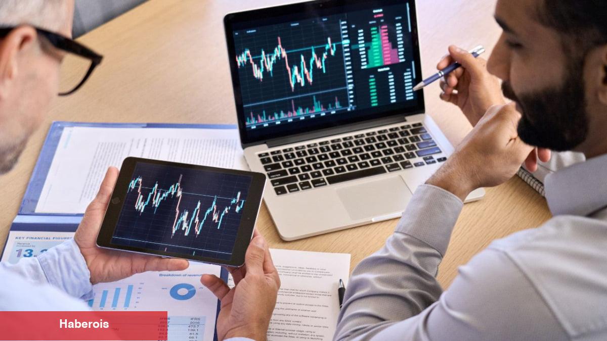 Boğa İşareti: En Çok Geliştirilen Altcoinler Hangileri?