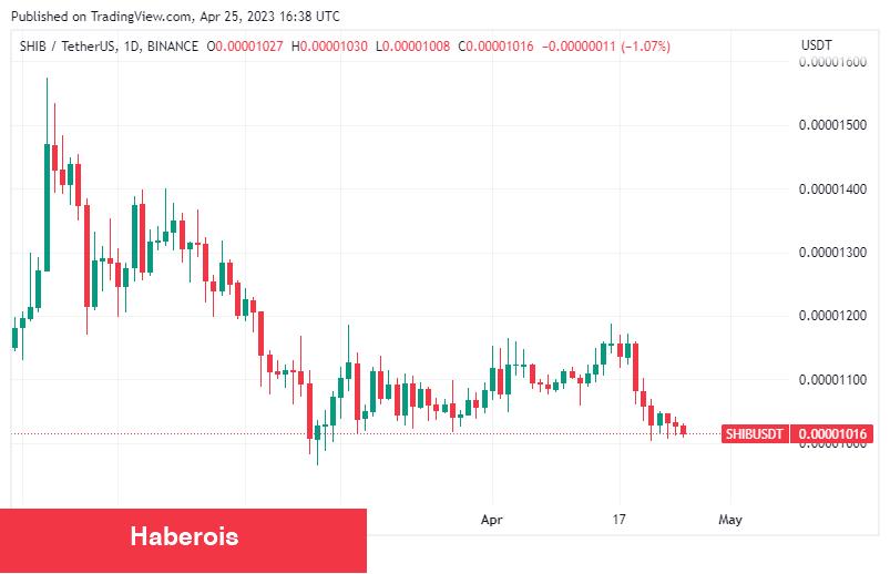 Boğa Piyasası Öncesinde Biriktirilecek En Âlâ 6 Altcoin!