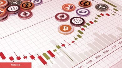 Bu 13 Altcoin İçin Dikkat: Mayıs’ta Büyük Gelişmeler Var!