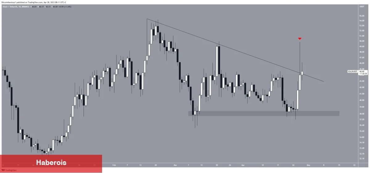 Bu 5 Altcoin Haftanın Yükseliş Önderi Oldu! İşte Beklentiler
