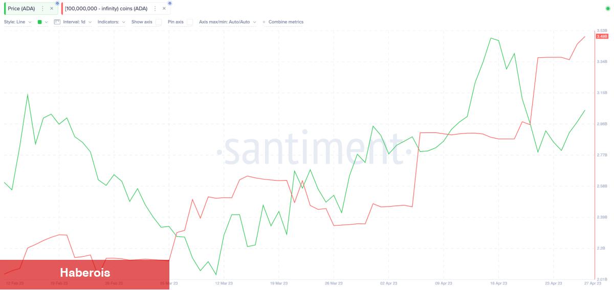 Büyük Yatırımcılar Cardano ve Bu 3 Coini Almaya Başladı!