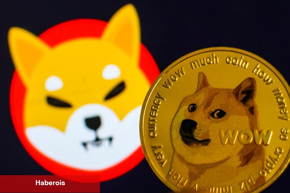 CNBC’den SHIB, DOGE İddiası: 50x Muştusu de Var!