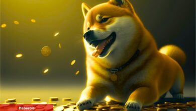 Dikkat: Bu 3 Göğüs Coin İçin Manipülasyon İddiası!