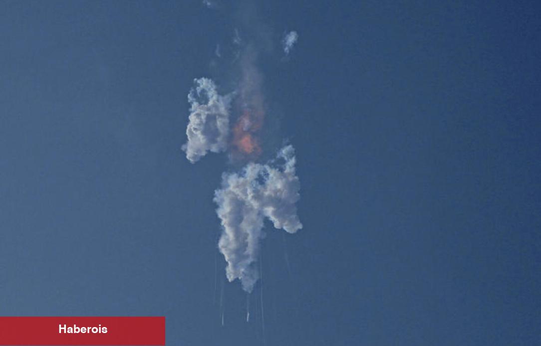Dogecoin Elon Musk Haberiyle Sert Düştü!