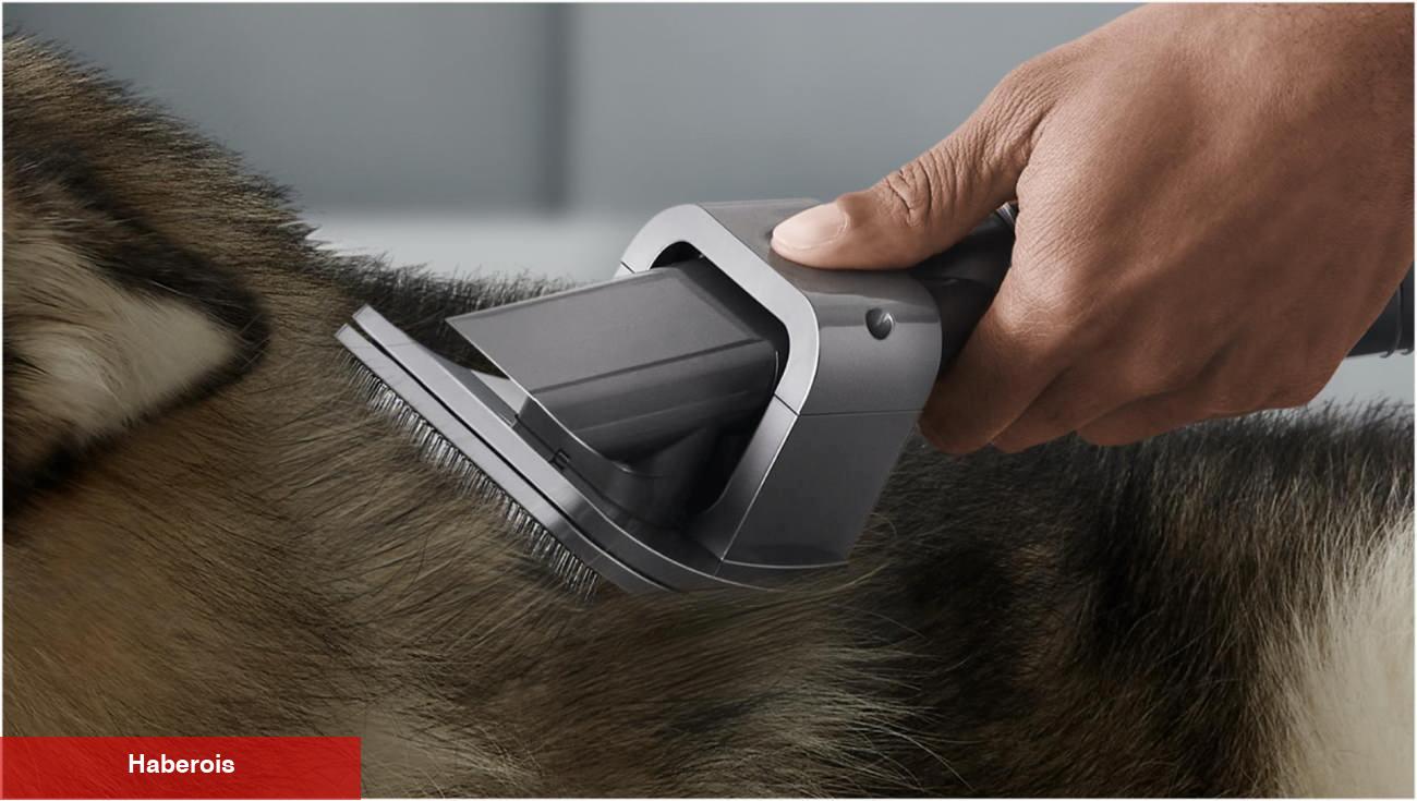 Dyson V12 mi V15 mi daha yeterli? Dyson V12 ve V15 farkı nedir? Dyson V12 ve V15 karşılaştırma