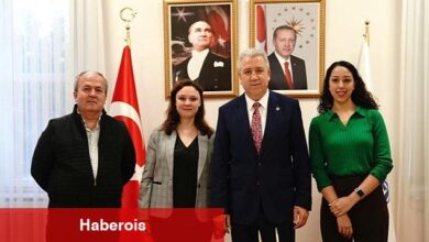 Egeli bilim insanları, yumurtalık kanserini erken evrede teşhis edecek biyosensör geliştirecek