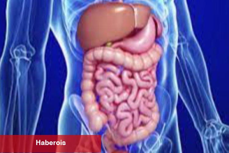 Gastroenterolojide belirtiler hafife alınmamalı