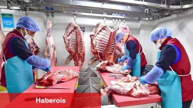 Halkın Kasabı'yla İzmirlinin cebine 9 milyonluk katkı