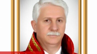 Hasan Tahsin Gökcan tekrar AYM Başkanvekili