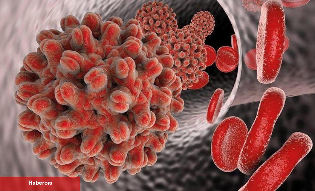 Hepatit B nedir? Bulaşıcı mıdır?