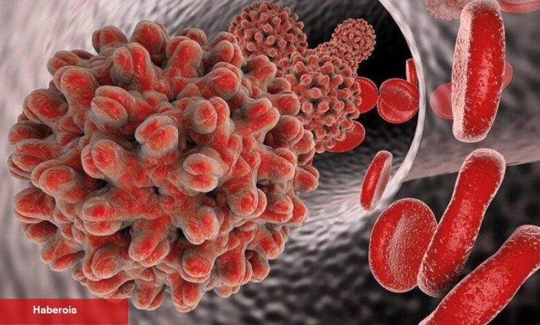 Hepatit B nedir? Bulaşıcı mıdır? - Haberois Hepatit B nedir? Bulaşıcı mıdır?