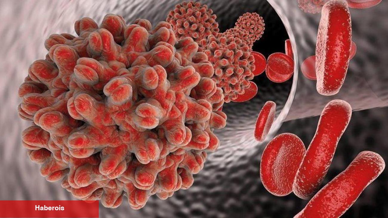 Hepatit B nedir? Bulaşıcı mıdır?