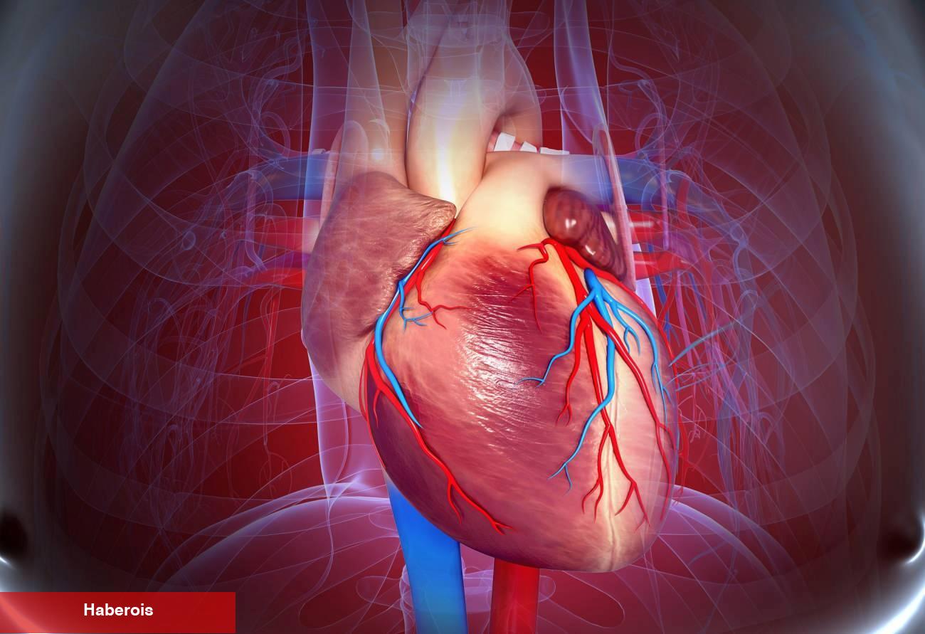Kalp hastaları Ramazan bayramında nelere dikkat etmeli? Stent taktıranlara bayram uyarısı