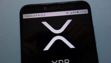 Kritik İkaz: Ripple 2. Dalgada Bu Tabanları Görebilir!