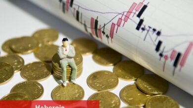 Kurumsal Yatırımcılar, Bu Altcoin’e Akın Ediyor! Rekor Kırdı!