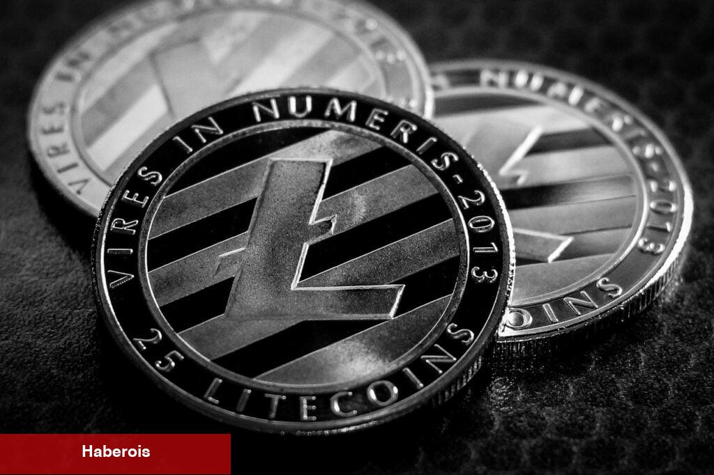 Litecoin Halving’ine 100 Gün Kaldı: İşte Bilmeniz Gerekenler! - Haberois Litecoin Halving’ine 100 Gün Kaldı: İşte Bilmeniz Gerekenler!