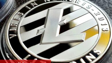 Litecoin Halving’ine 100 Gün Kaldı: İşte Bilmeniz Gerekenler!