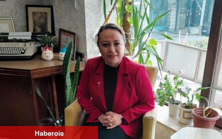 MHP aday adayı Karabulut, siyasete katma bedel katacak - Haberois MHP aday adayı Karabulut, siyasete katma bedel katacak
