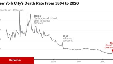 New York'ta Covid Kötüydü. 200 Yıllık Zaman Çizelgesinde Ne Kadar Kötü Görün.