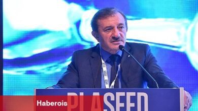 Nitelikli İstihdam Sıkıntısı Her Geçen Yıl Artmaya Devam Ediyor