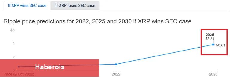 Ripple SEC Davasını Kazanırsa XRP Fiyatı Ne Olur?