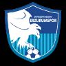 Samsunspor, Harika Lig'e döndü!
