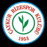 Samsunspor, Harika Lig'e döndü!