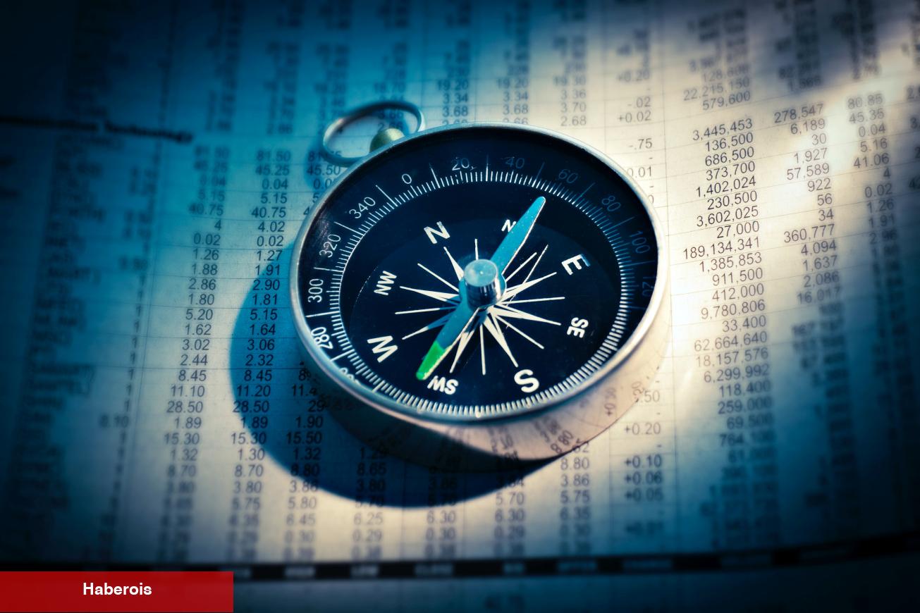 Santiment: Bu 3 Altcoin Fırsat Alanında! Bunlar ise Riskli!