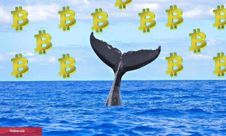 Satoshi Periyodundan Kalma Bitcoin Balinası Uyandı! - Haberois Satoshi Periyodundan Kalma Bitcoin Balinası Uyandı!